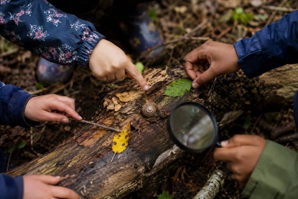 Life at Elmtree Grove | Elmtree Grove